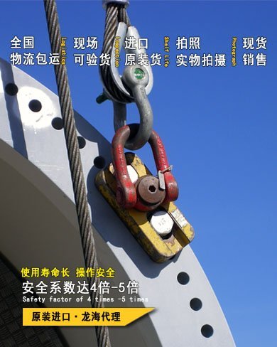 DSS型CODIPRO旋轉吊環(huán)